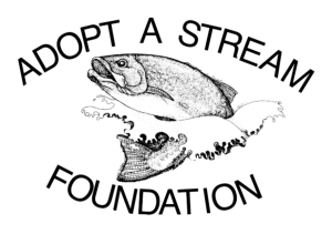 Screen Shot 2020-06-03 at 12.03.47 PM